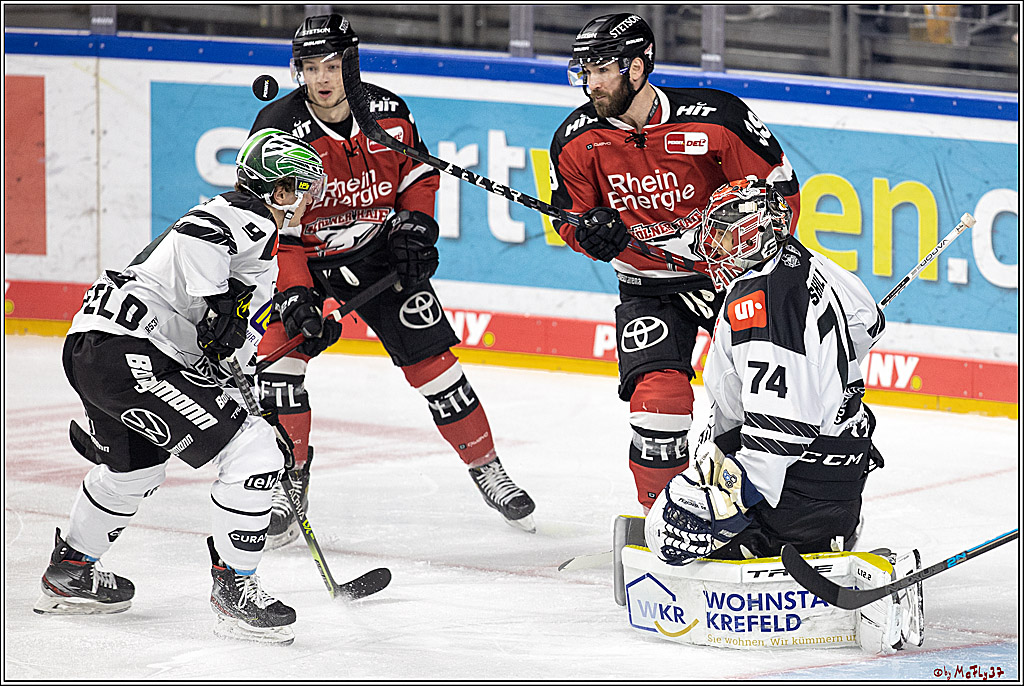 PENNY DEL;  Koelner Haie - Krefeld Pinguine; Koeln, 31.10.2021